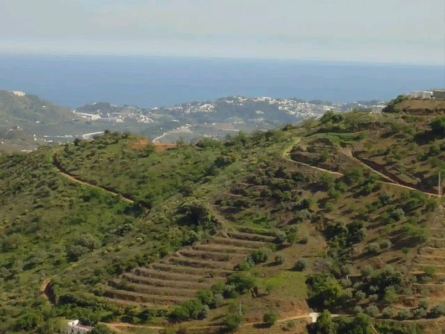Rural land for sale in Diseminado Matachinas Pol 12