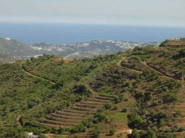 Terreno rustico in vendita a Diseminado Matachinas Pol 12