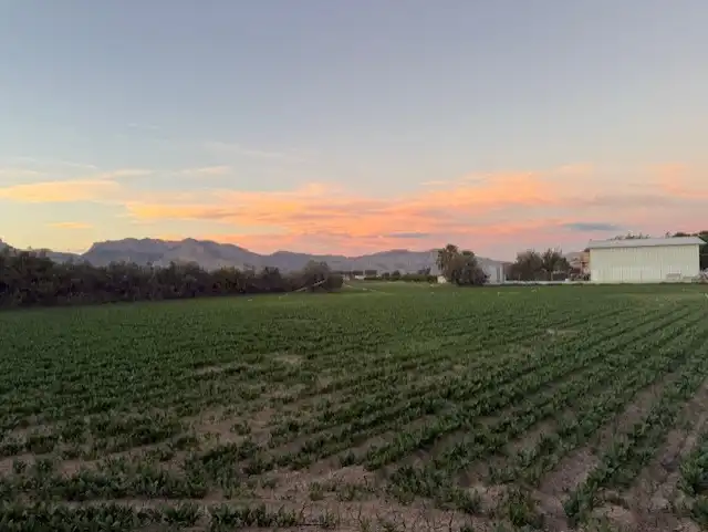 Casa en venda a Carril de los Murcia, imagen 16
