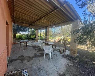 Garden of Land for sale in Carmona