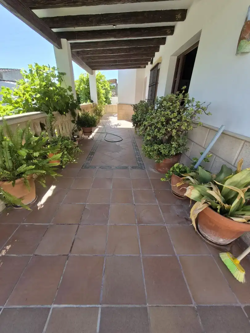 Terrassa de Casa o xalet en venda en Arcos de la Frontera
