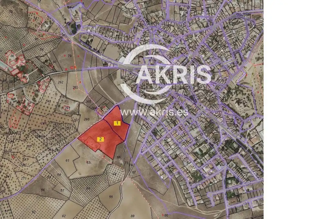 Rustikales Grundstück zum Verkauf in Jareros, imagen 6
