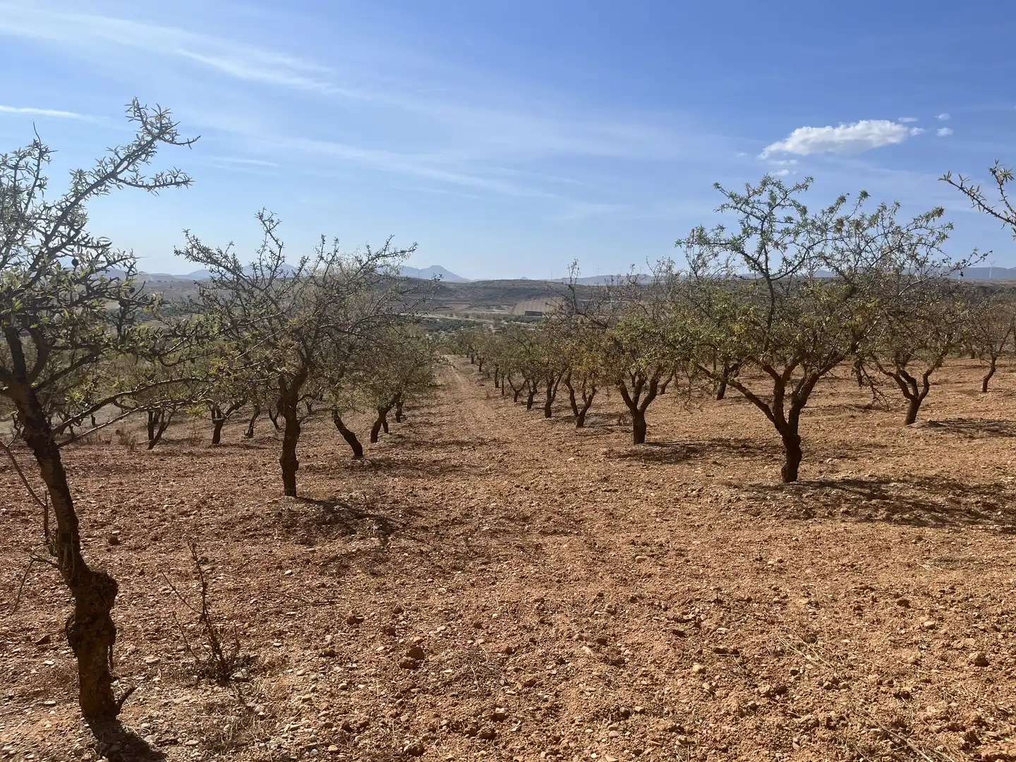 Rustikales Grundstück zum Verkauf in Avenida de Andalucía, imagen 6