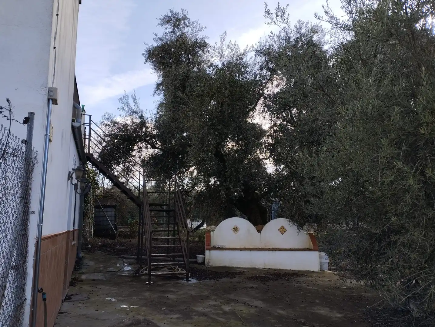 Jardín de Finca rústica en venta en Cabra
