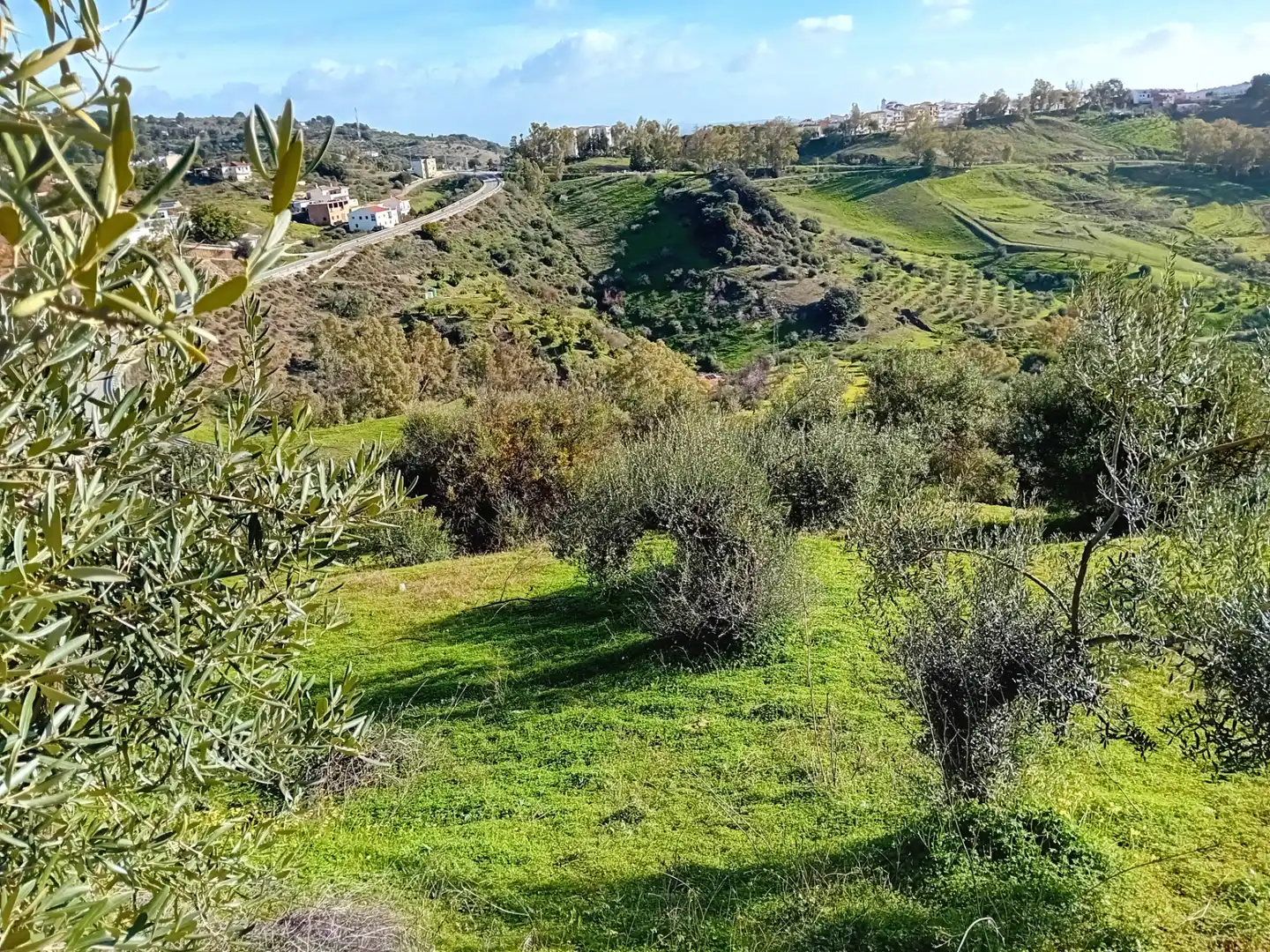 Terreno rústico en venta en Alozaina