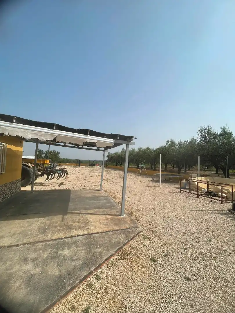 Terreno rustico in vendita a Centro, imagen 4