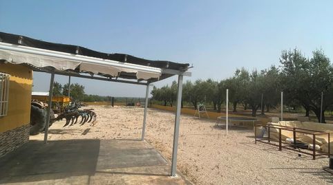 Terreno rustico con casita de campo, y cobertizo en el centro de Chiva., immagine 4