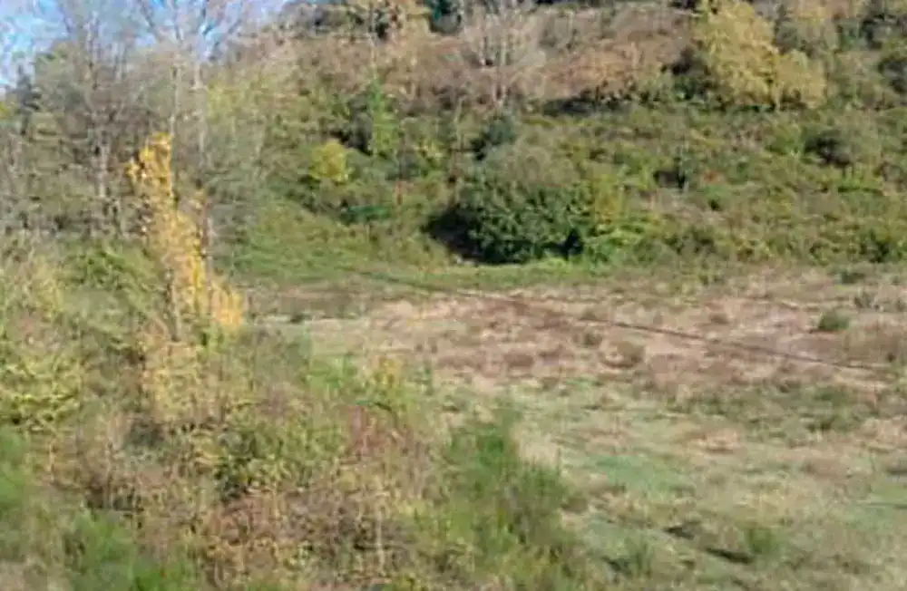 Terreny rústic en venda a Santa Pau, imagen 4