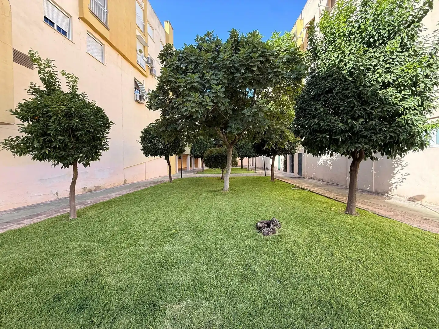 Appartamento con giardino in affitto a Centro, imagen 5