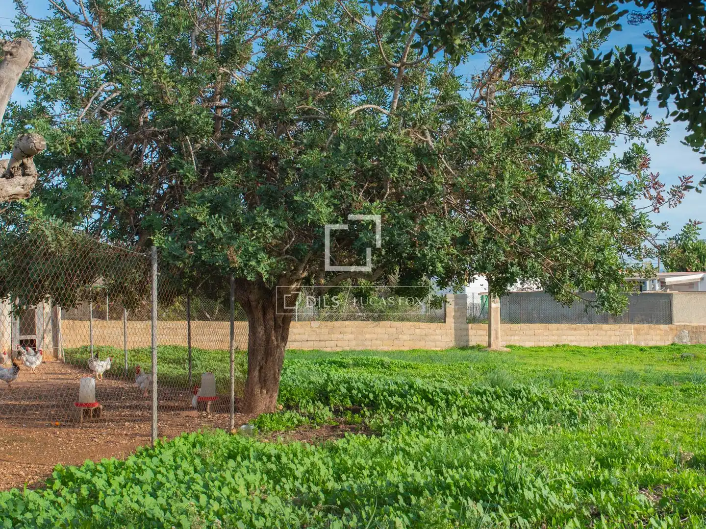 Chalet con jardín en venta en Sant Jordi de Ses Salines-Sant Francesc, imagen 37