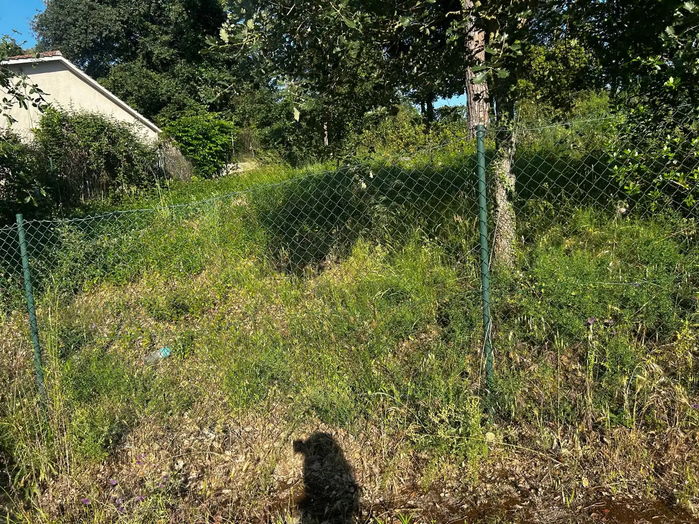 Residential land for sale in Residencial Park, imagen 13