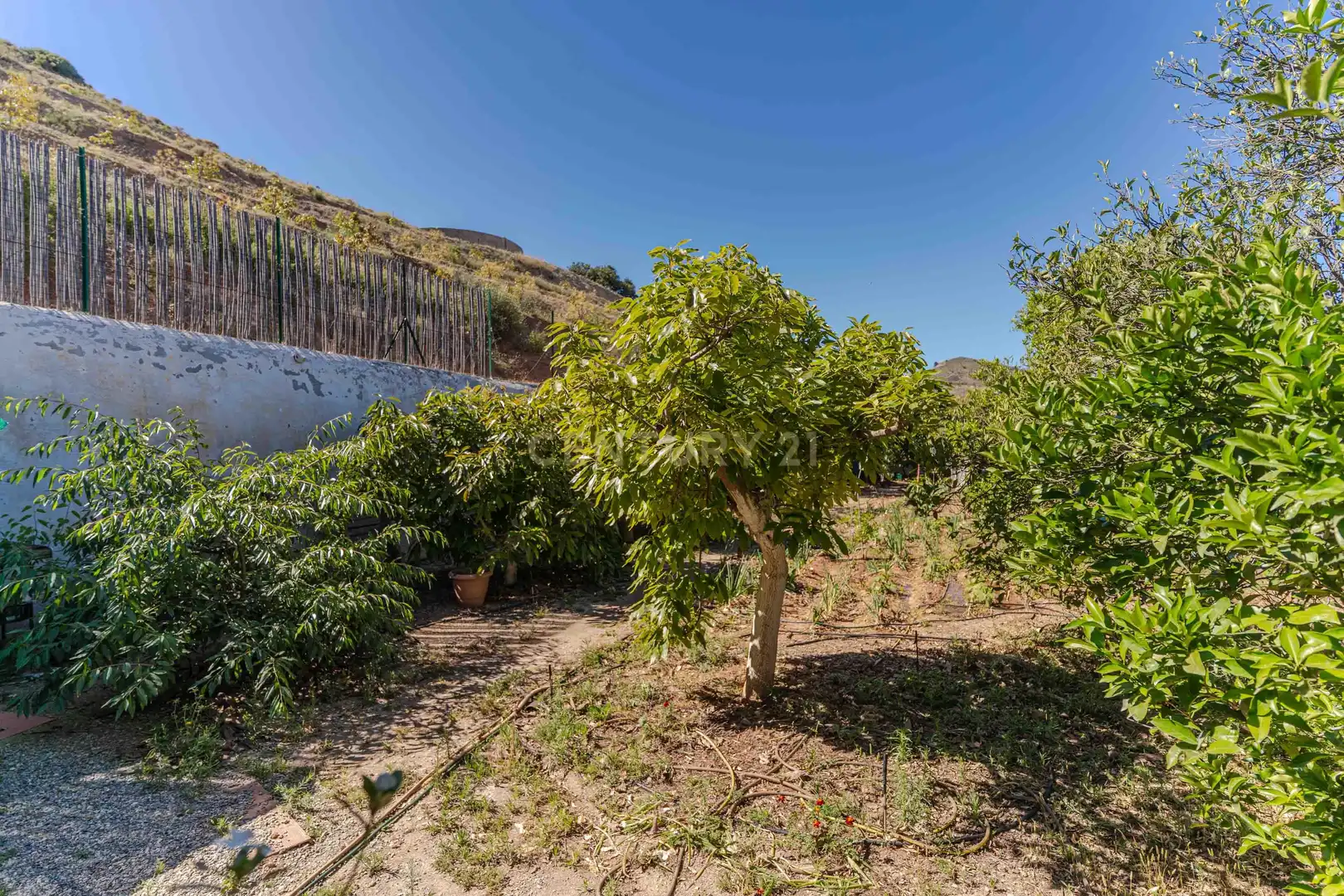 Casa o chalet en venta en Motril