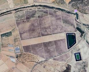Land for sale in Cieza