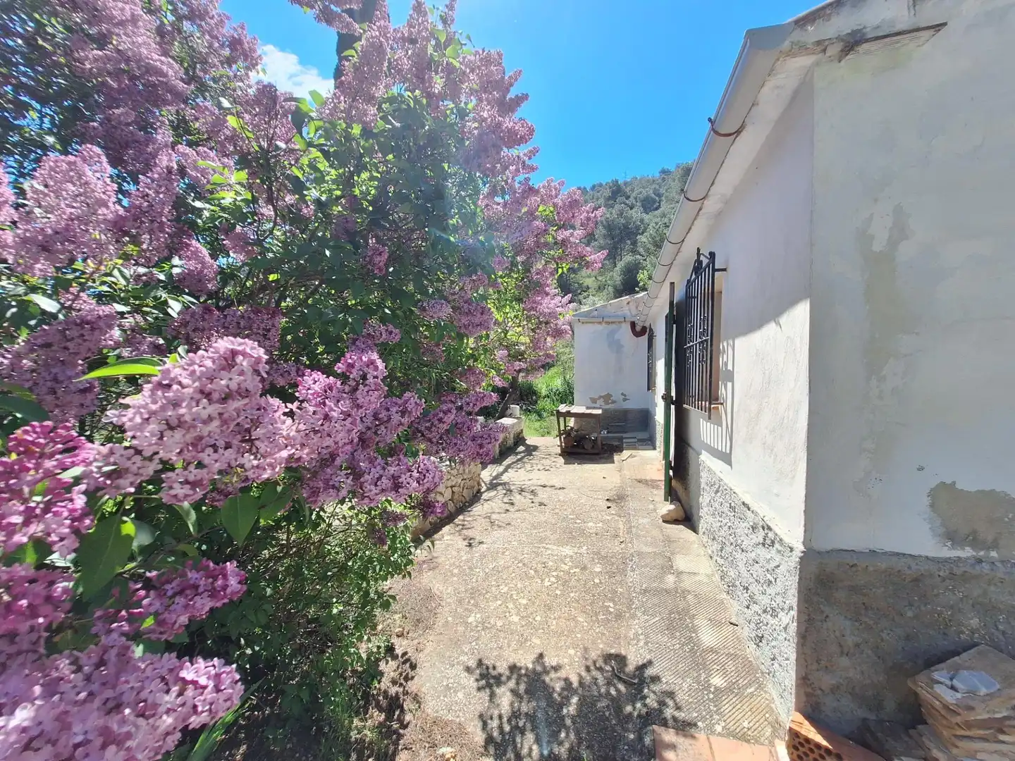 Jardí de Finca rústica en venda en Alcoy / Alcoi amb Traster i Moblat