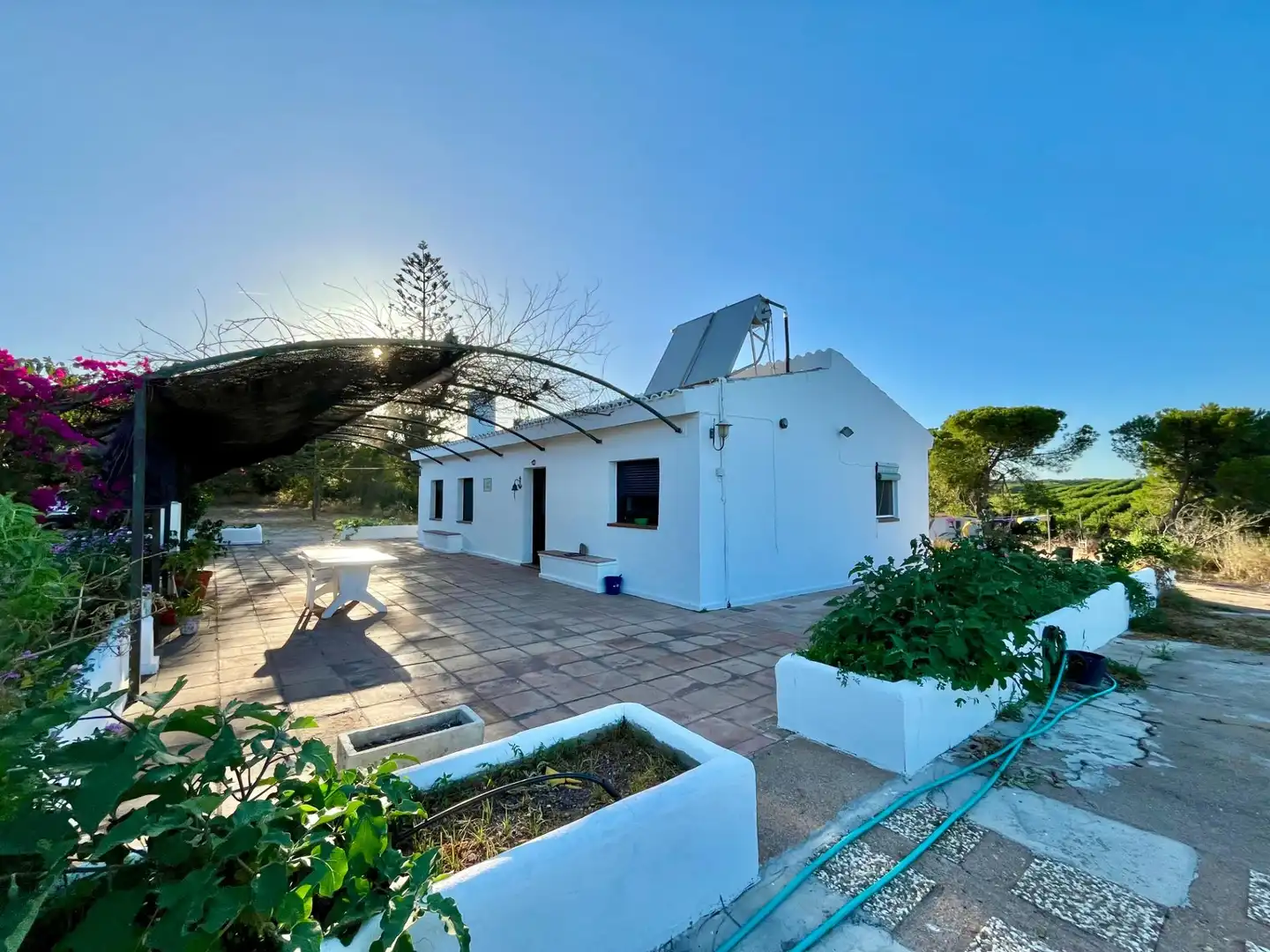 Vista exterior de Finca rústica en venta en Ayamonte con Jardín privado, Trastero y Piscina