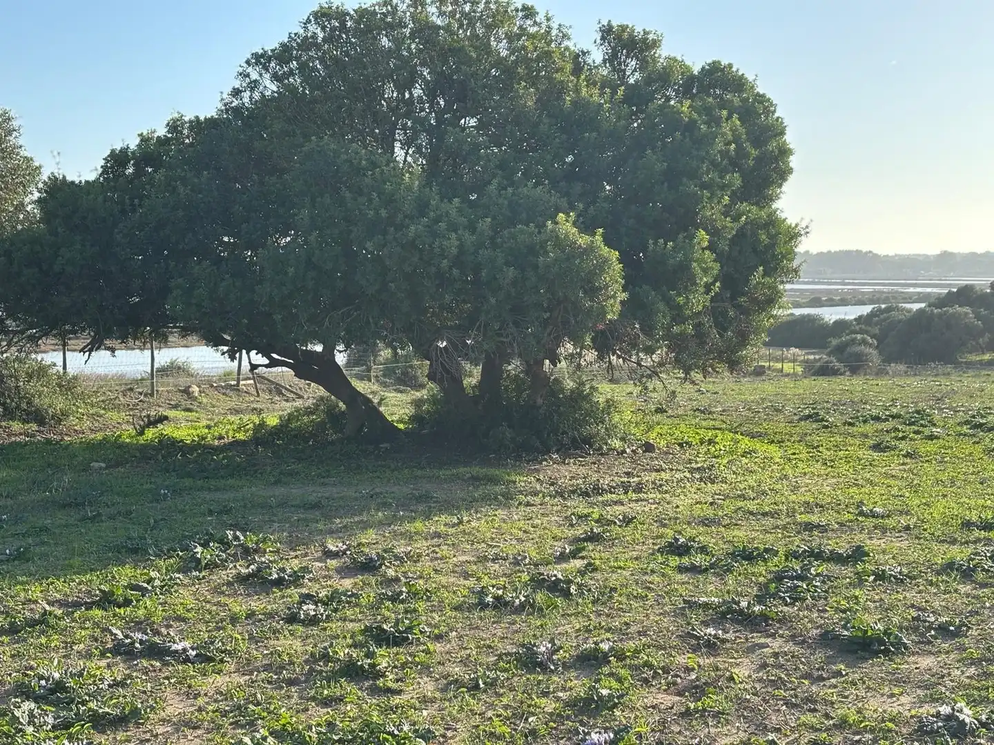 Terreni e lotti in vendita a Vejer, imagen 19