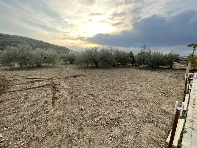 Land for sale in Pechina