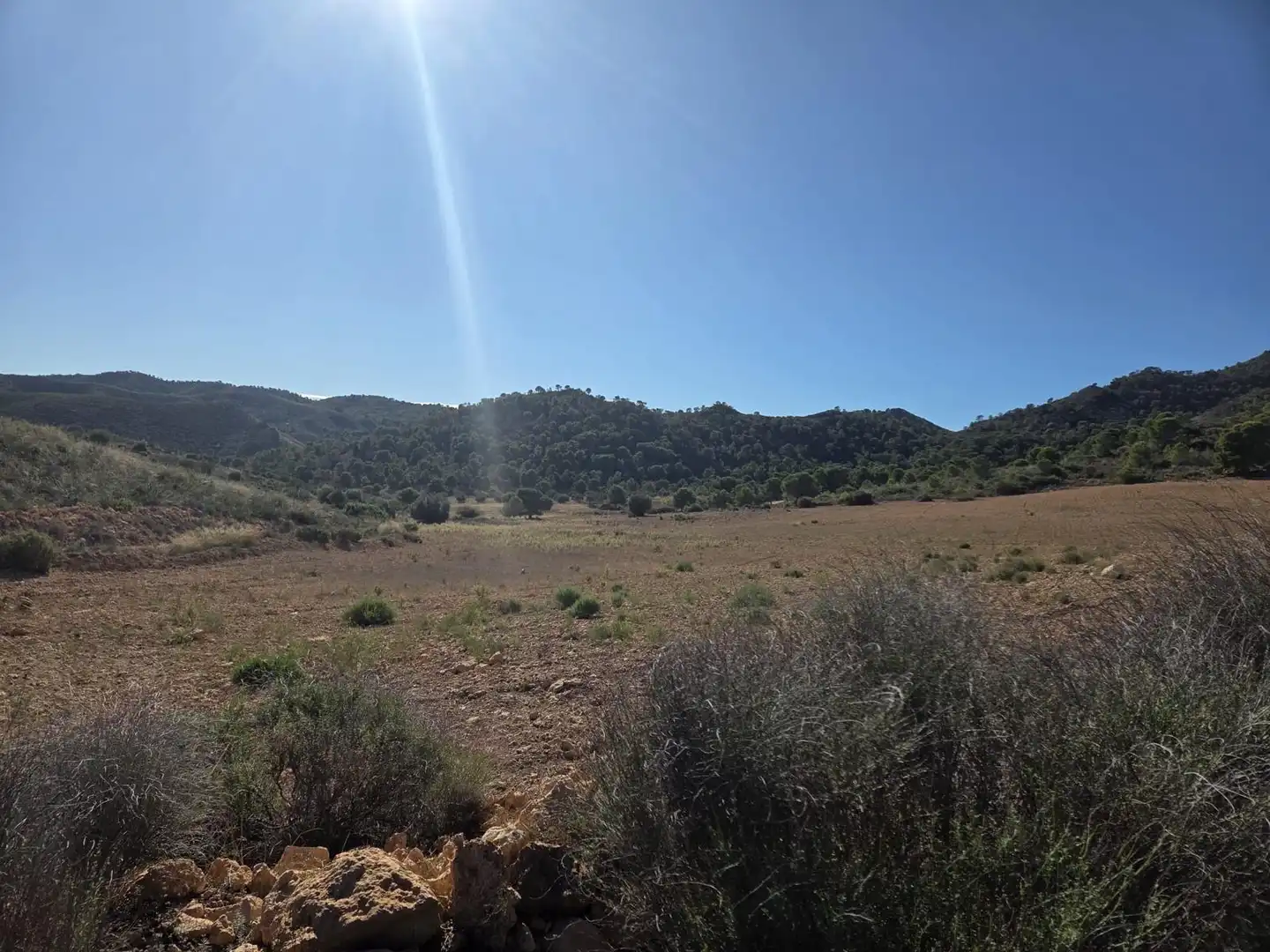 Terrenos y solares en venta en Diputación de Vizcaino, imagen 10