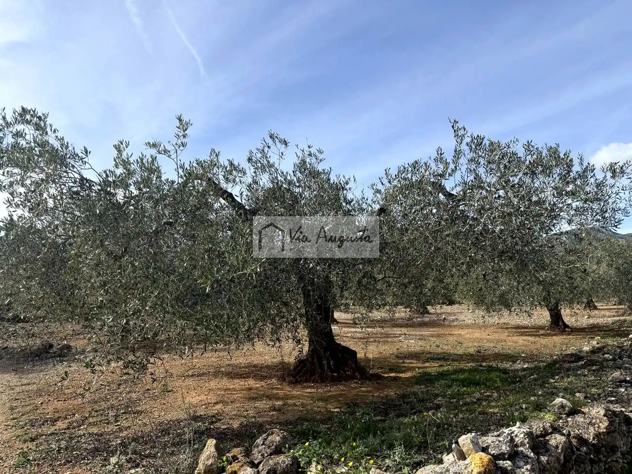 Terreno rustico in vendita a Burgà, imagen 9