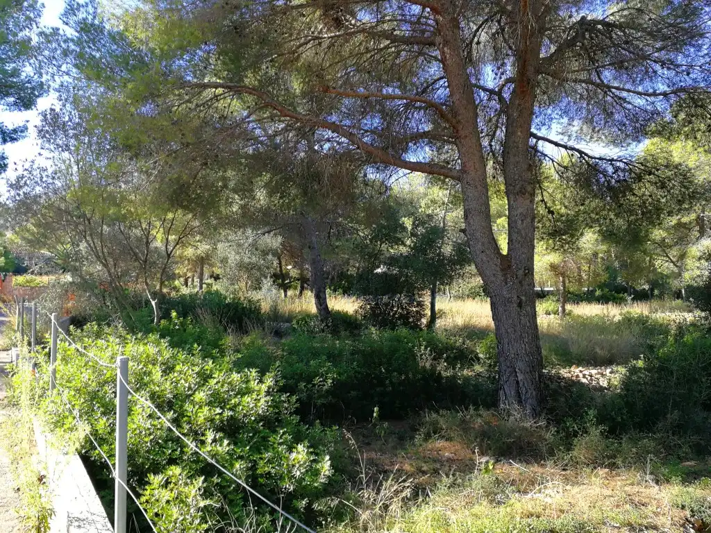 Terreny residencial en venda a Carrer Urà, 2-8