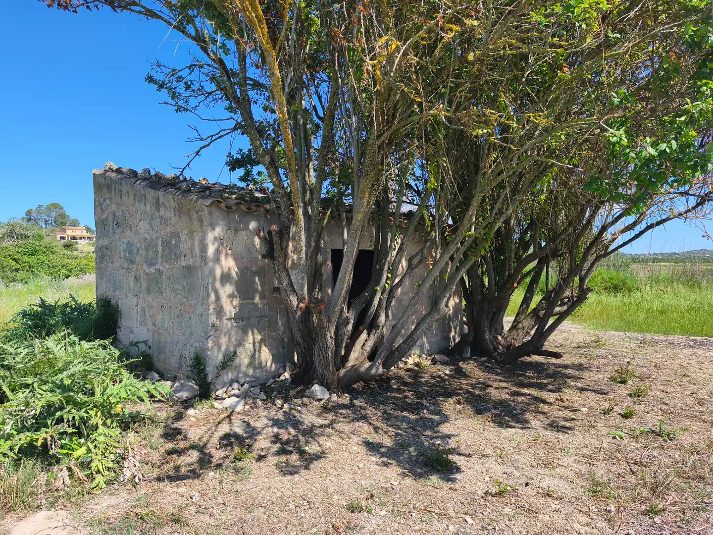 Terreno rustico in vendita a Maria de la Salut, imagen 3