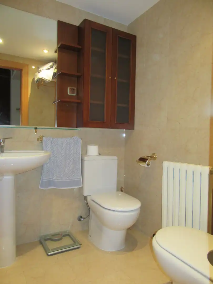 Bathroom of Detached homes for rent in Zaragoza  with Air Conditioner, Heating and Private garden