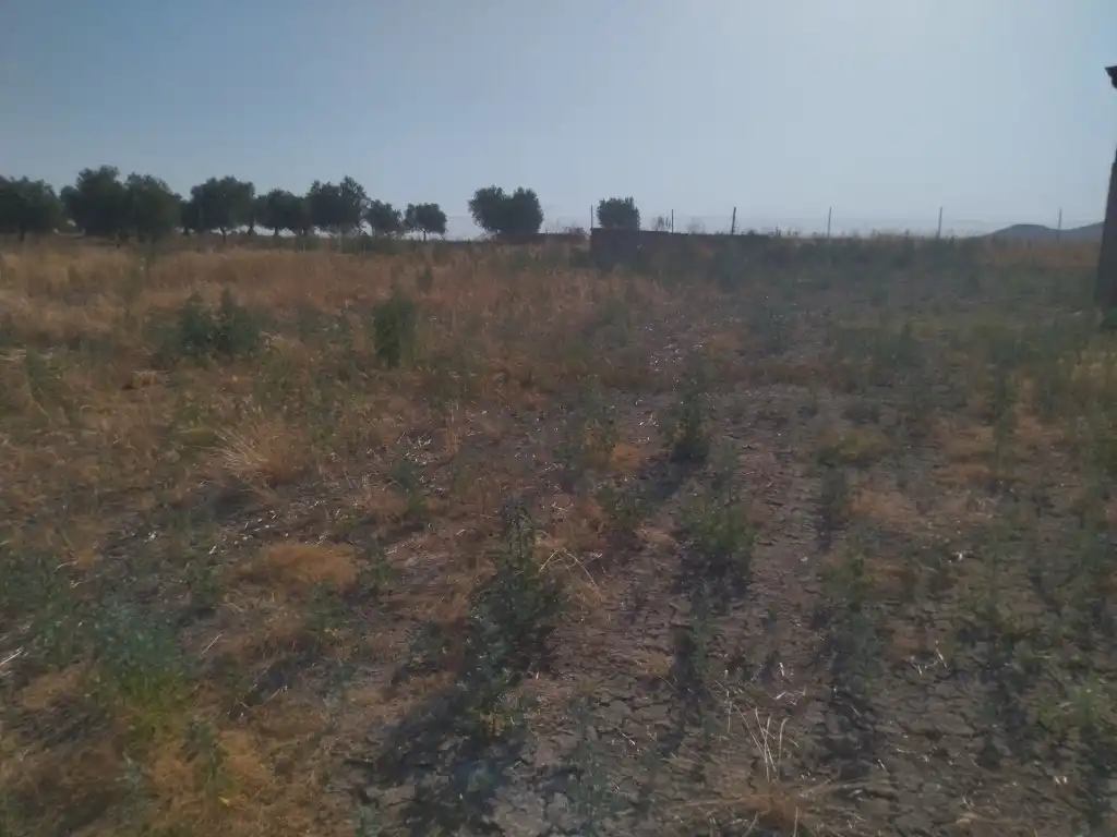 Terreni e lotti in vendita a La Haba, imagen 22