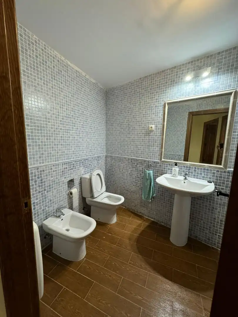 Bathroom of Detached homes for sale in Alocén  with Heating, Storage room and Balcony