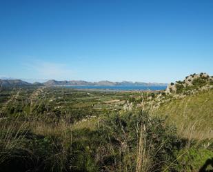 Land for sale in Alcúdia