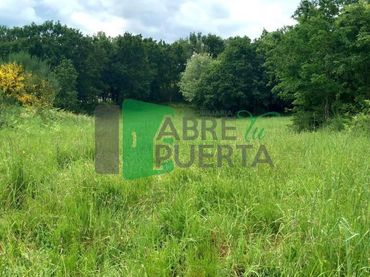 Terreno residencial en venta en Coles
