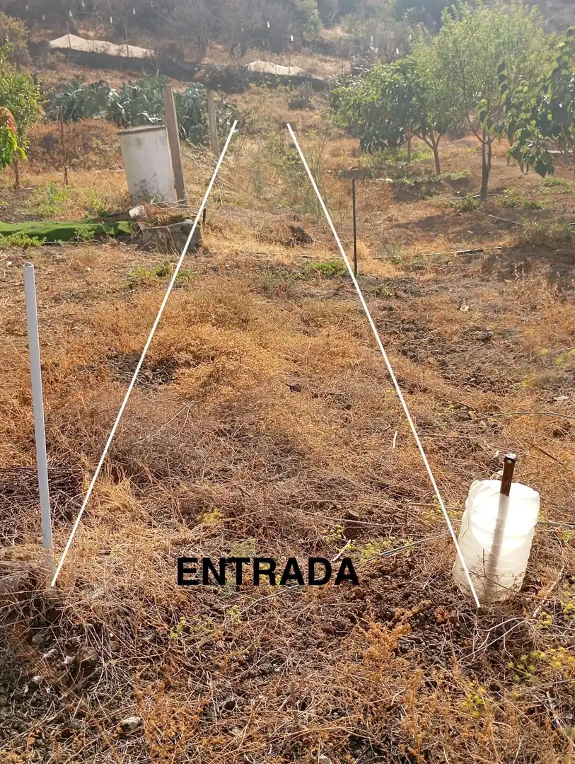 Rural land for sale in Calle GARABATO, imagen 13