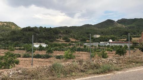 Partida La Lloma, immagine 5