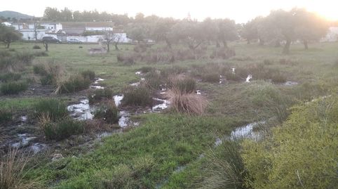 Finca Rúst. en venta en Polígonos  Carrión., image 4