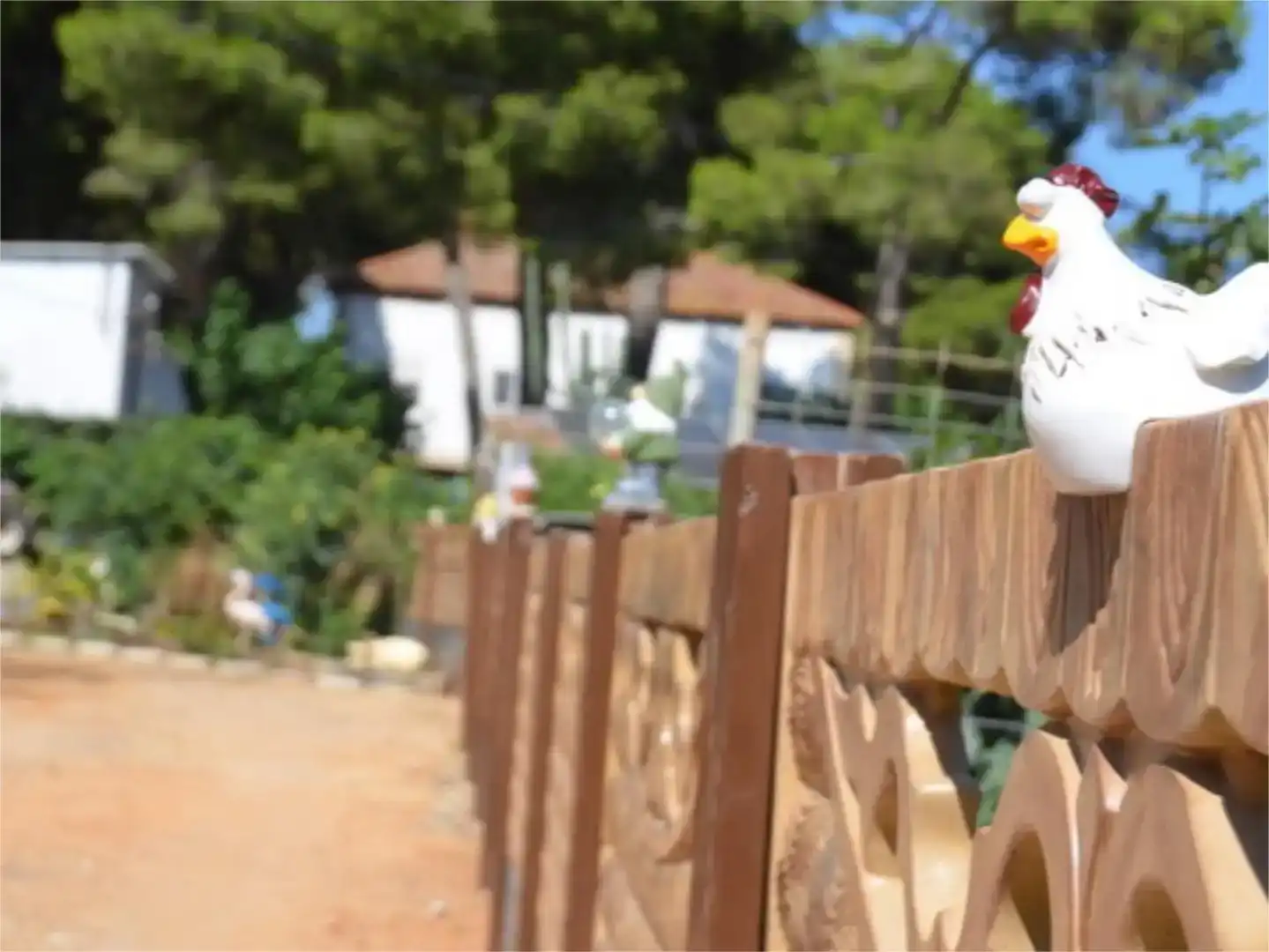 Jardí de Finca rústica en venda en Vila-seca amb Aire condicionat, Jardí privat i Traster