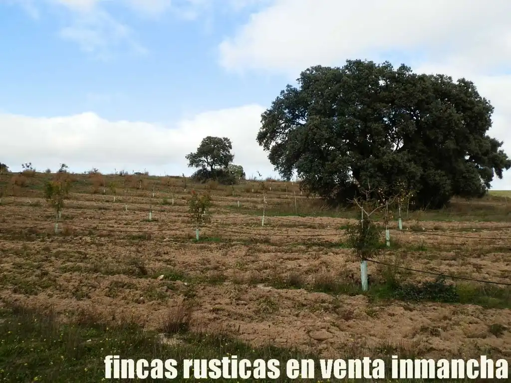 Terreni e lotti in vendita a Torrijos, imagen 9