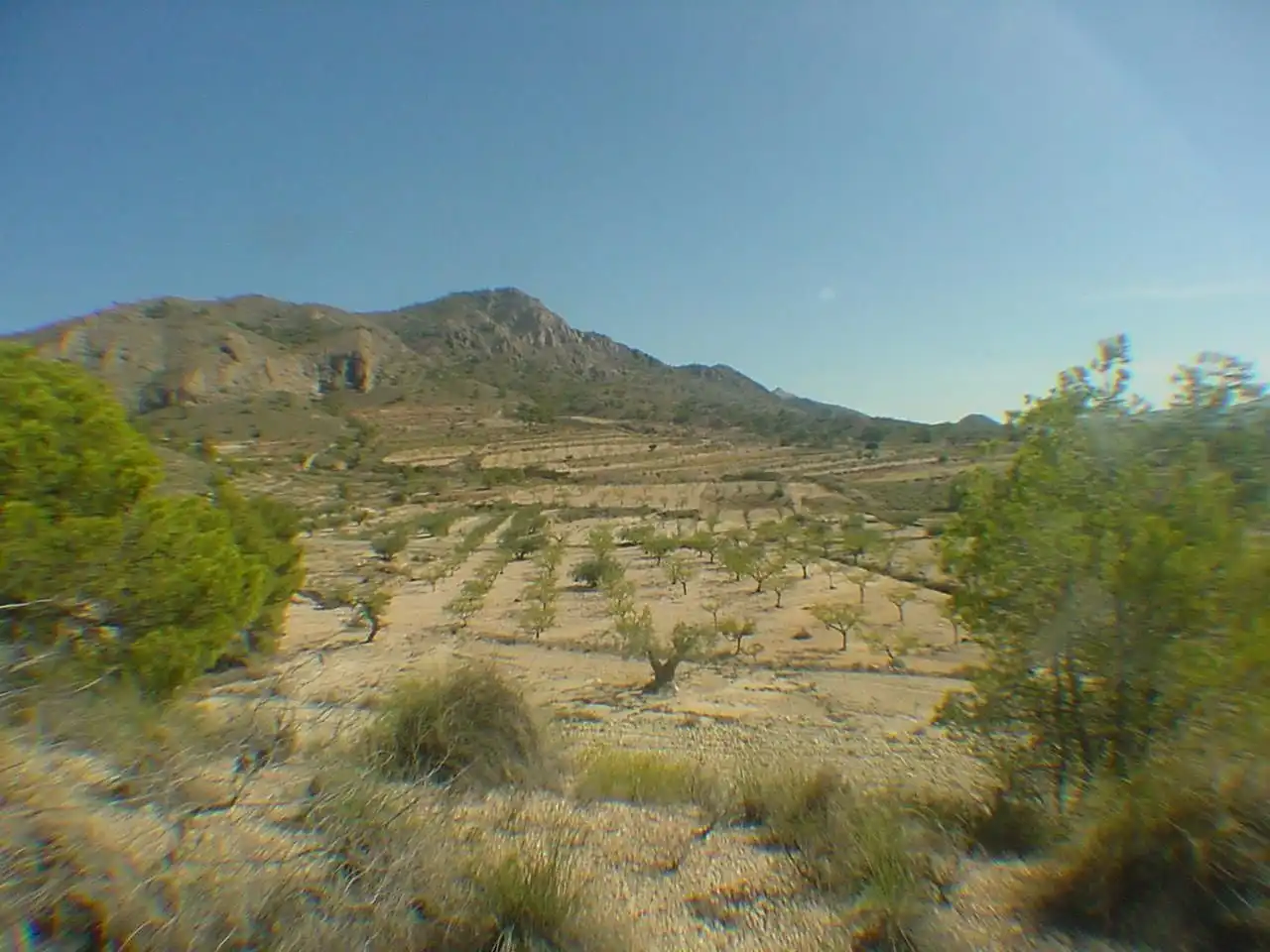 Terrenys i solars en venda a Camino Vereda 3, imagen 12