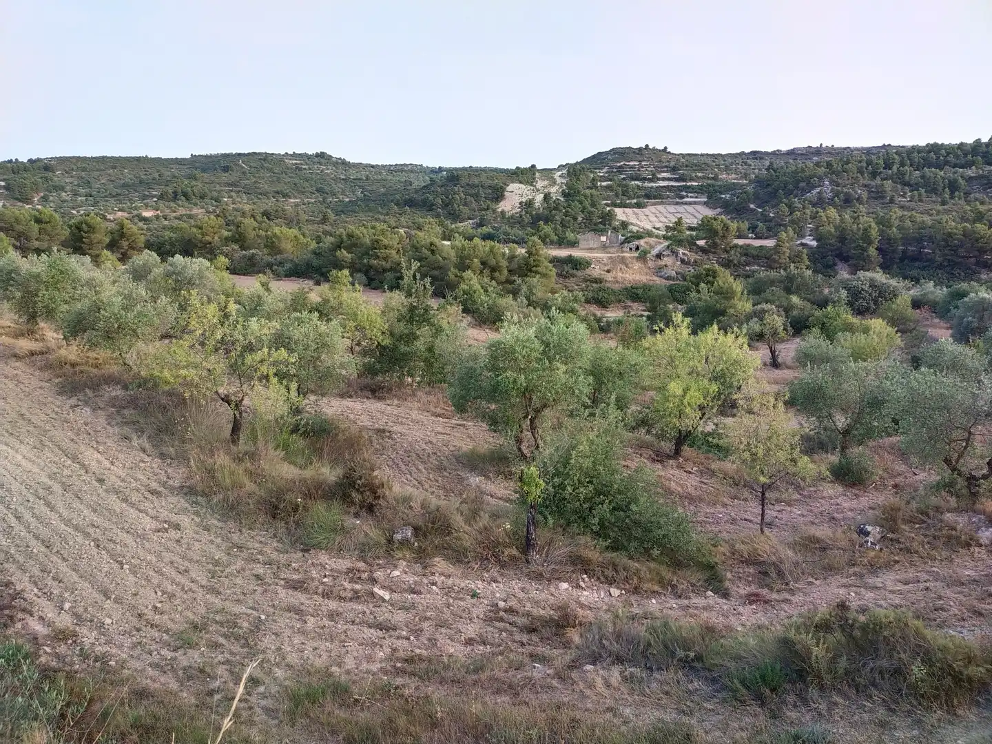 Terreno rústico en venta en Cervià de Les Garrigues, imagen 7