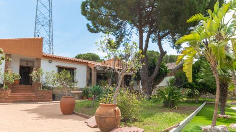Foto 3 de Casa o xalet en venda a Pinos de Alhaurín, Alhaurín de la Torre