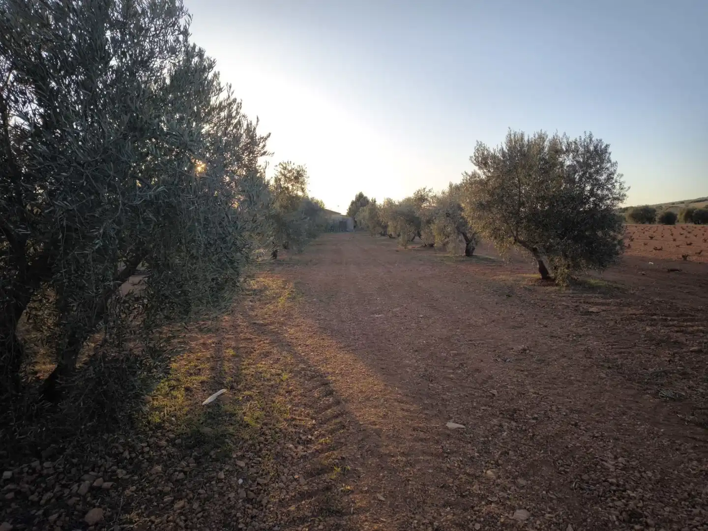 Casa o chalet en venta en Valdepeñas