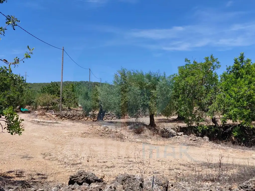 Casa rústica en venta en El Perelló, imagen 8