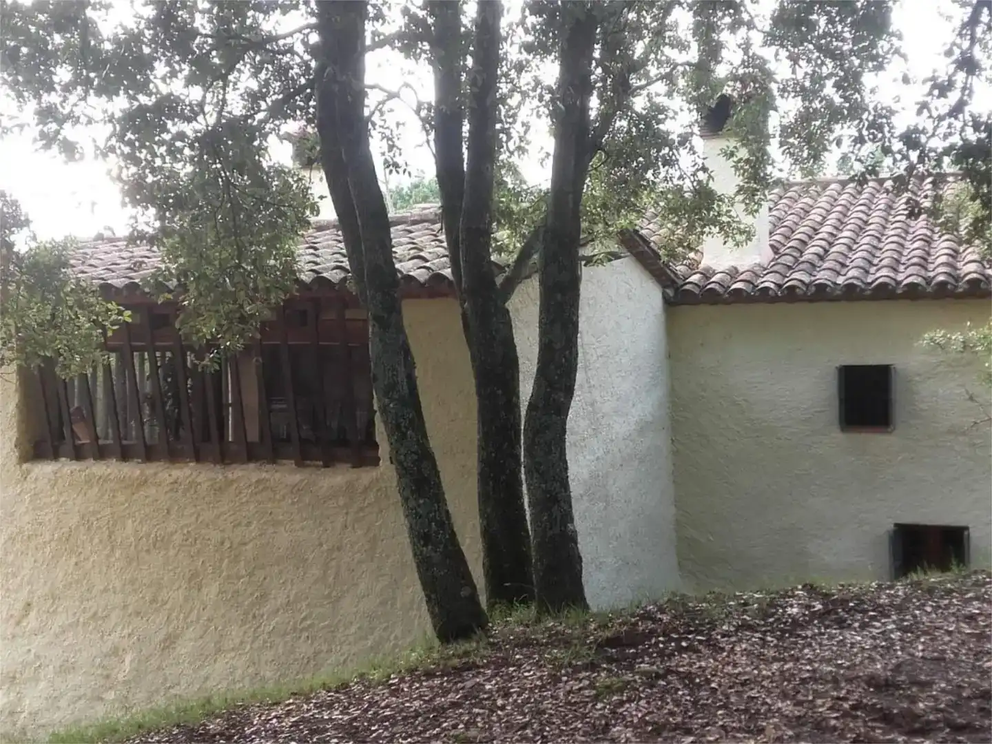 Vista exterior de Finca rústica en venda en Sant Gregori