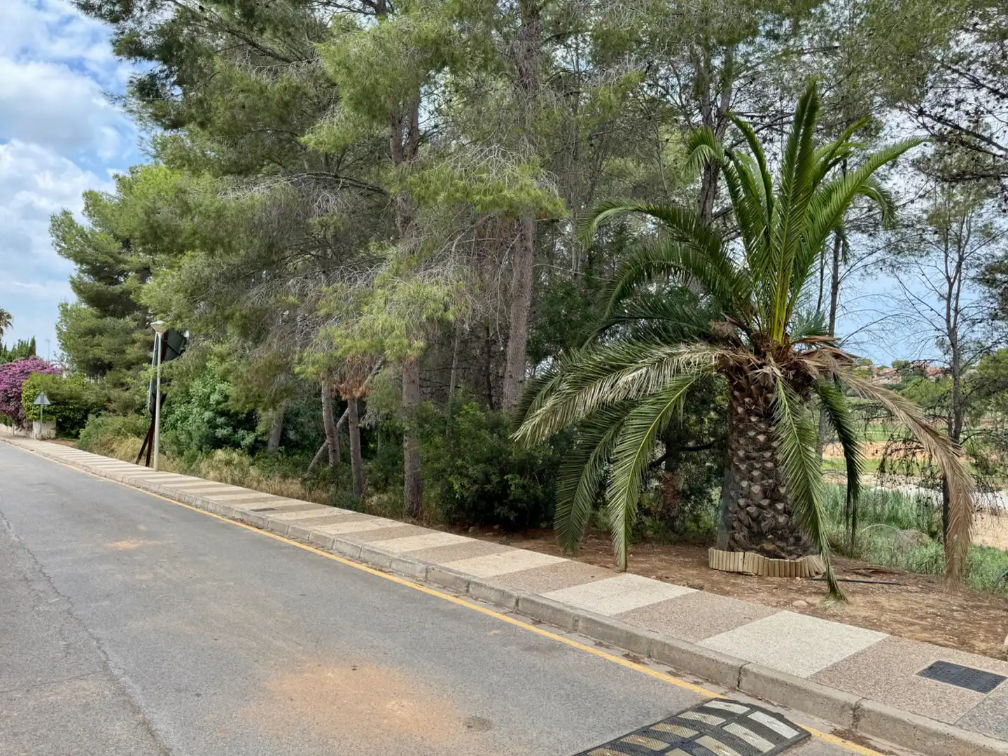 Residencial en venta en Urbanizacion Bosque, El Bosque