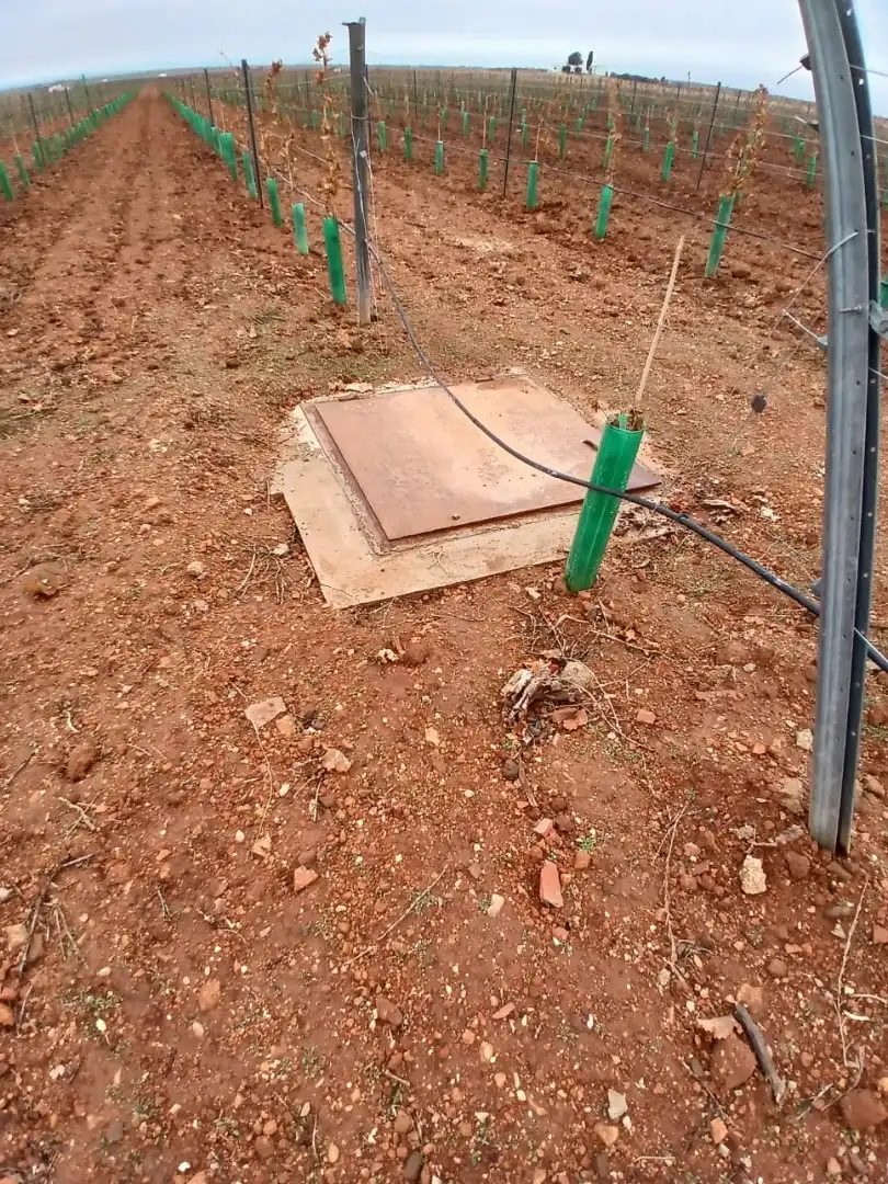 Terreni e lotti in vendita a Villarrobledo, imagen 6