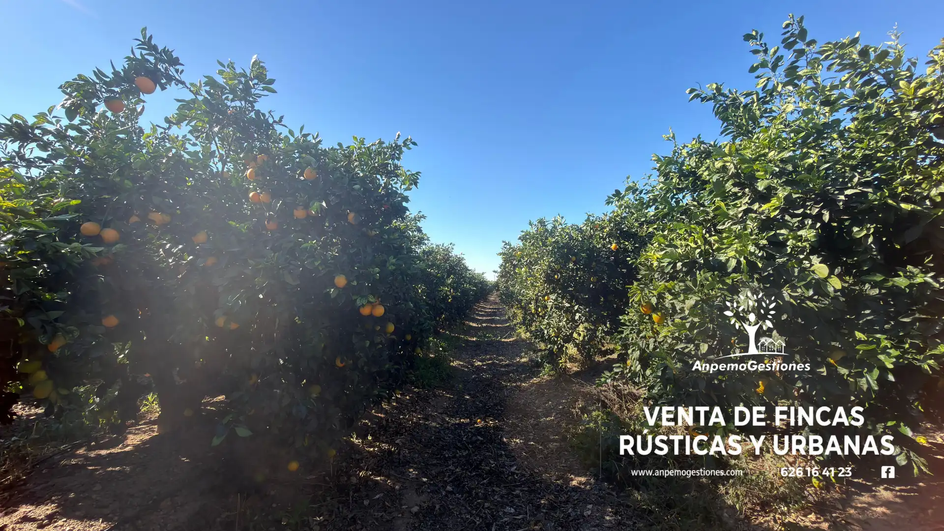 Terreno en venta en Peñaflor, Sevilla