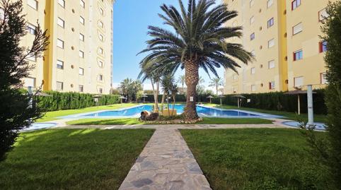 Photo 4 of Flat for sale in Platja de Torres, Alicante