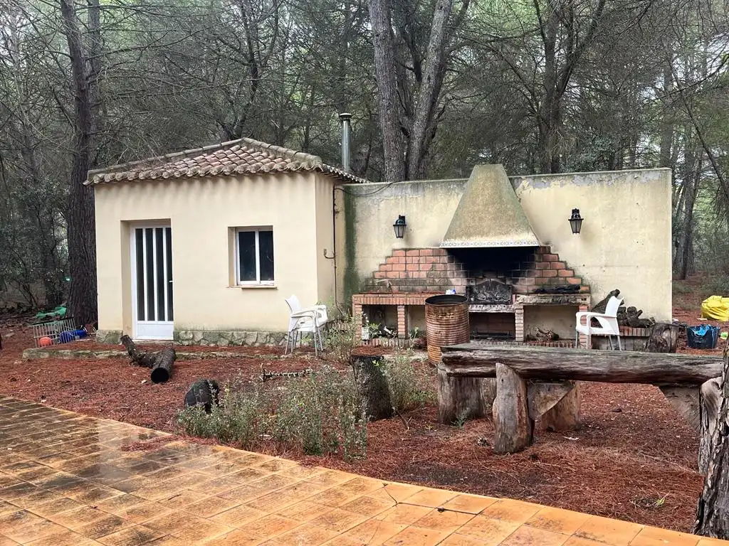 Jardín de Casa o chalet en venta en Albacete con Aire acondicionado, Calefacción y Jardín privado