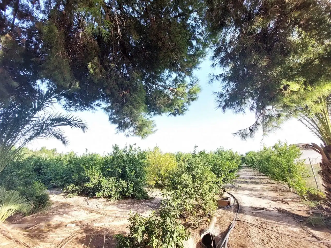 Residencial en venta en Elche / Elx