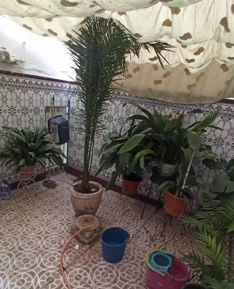 Appartamento con terrazza in vendita a Torredonjimeno, imagen 19