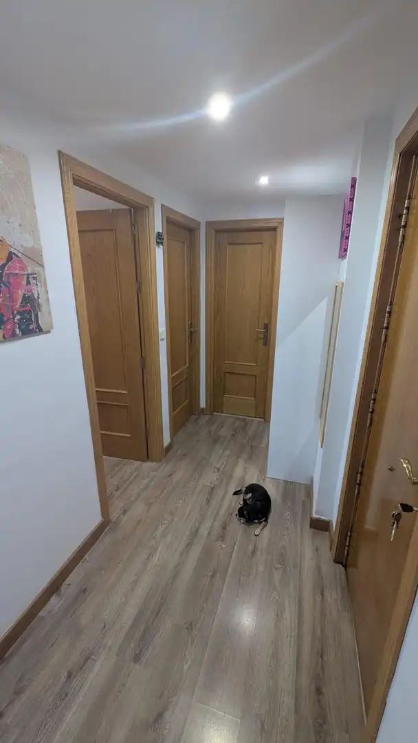 Piso de alquiler en Madrid con Aire acondicionado, Calefacción y Parquet