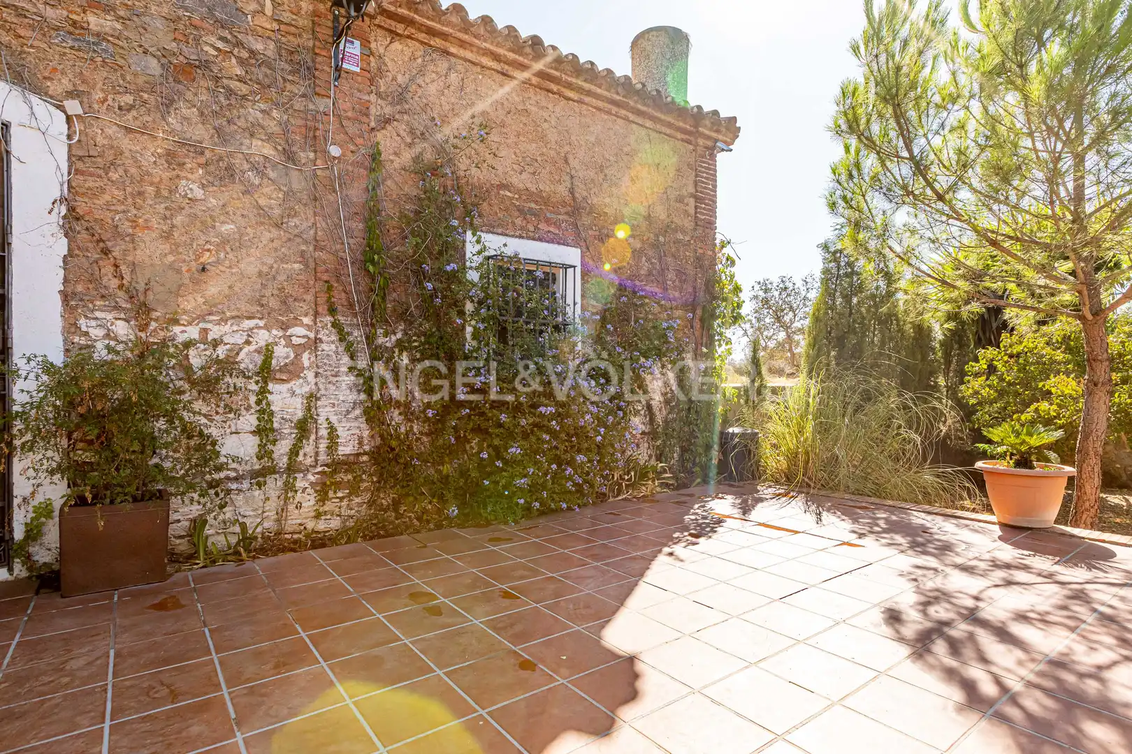 Terraza de Casa o chalet en venta en Bienvenida con Calefacción y Jardín privado